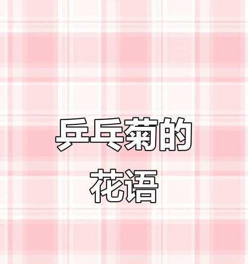 乒乓菊的花语含义是什么？它在花语中代表什么？
