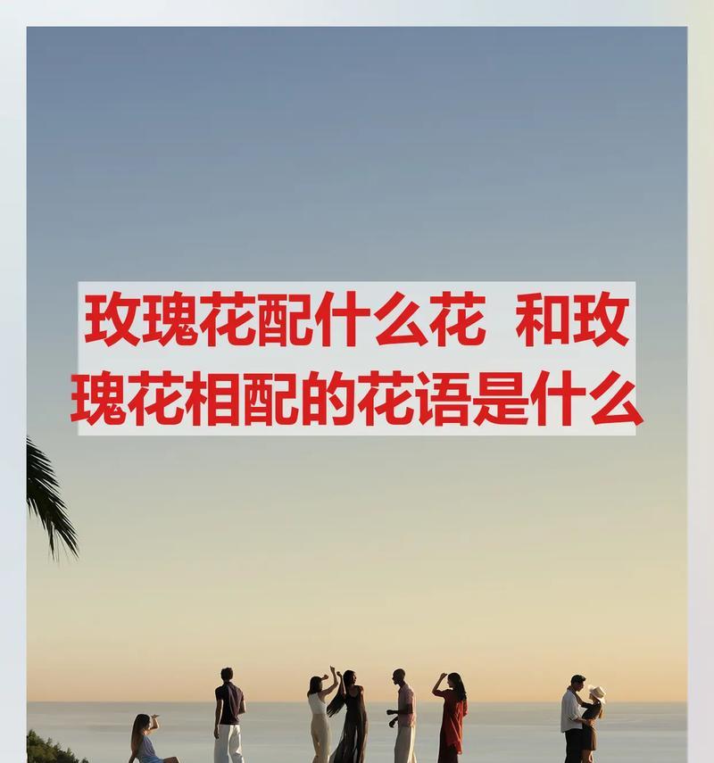 玫瑰花的花语有哪些？颜色与花语的联系是什么？