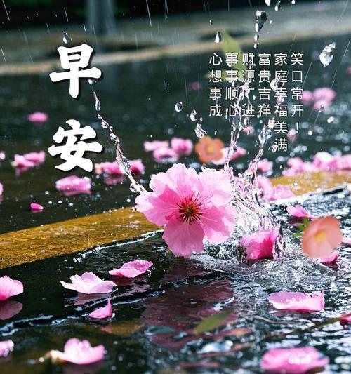 寓意祝福你的花有哪些？如何用花表达祝福？