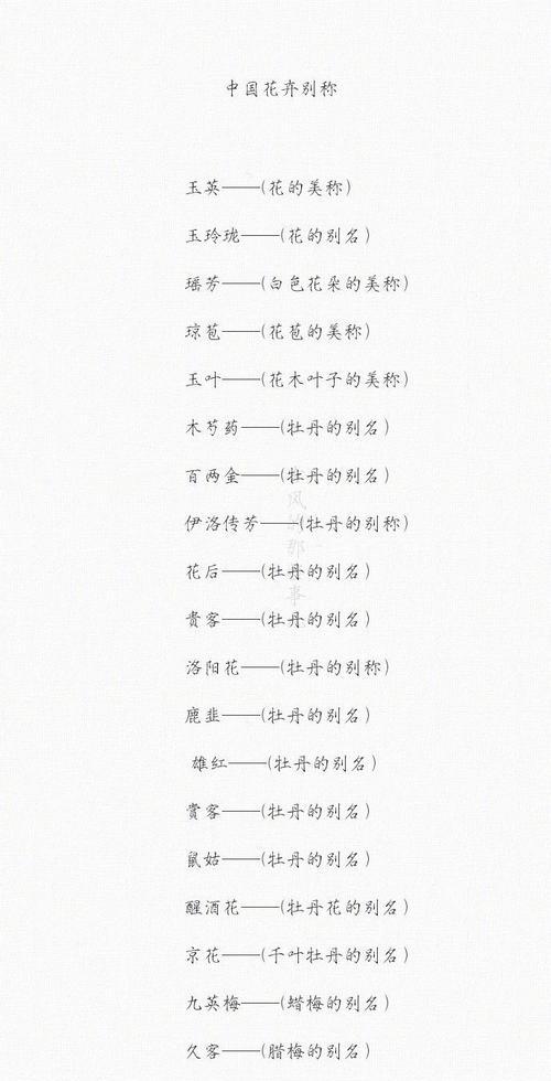 象征着孝敬的花有哪些？孝顺文化中常见的花卉象征是什么？