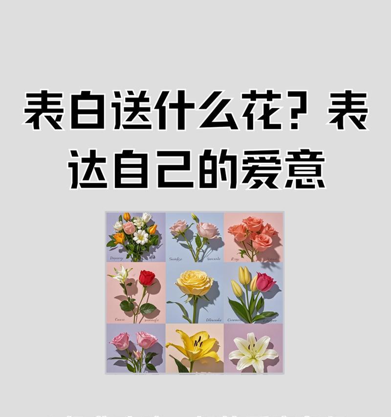 送情侣花的含义和情侣间应送哪种花表达爱意？