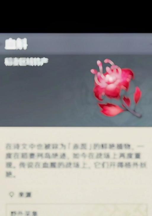 血斛花代表什么？血斛花的寓意是什么？