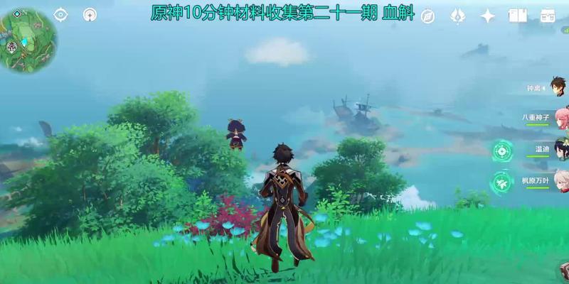 血斛花代表什么？血斛花的寓意是什么？