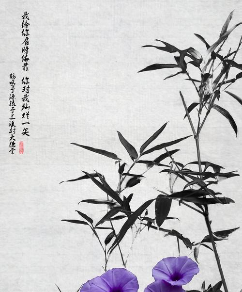 花的形状与花钿代表什么？收到白色花与缠花竹子的象征意义是什么？
