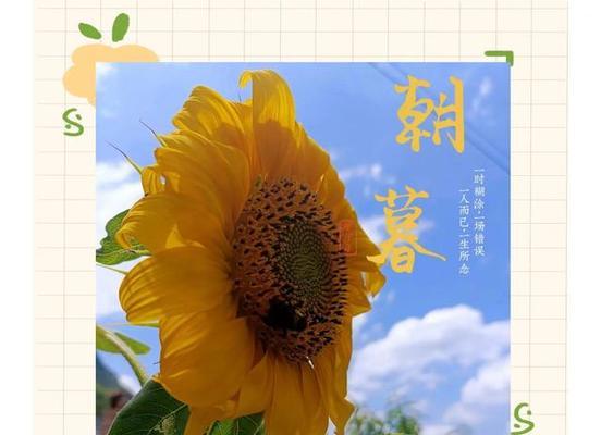 渺小的花代表什么意义？