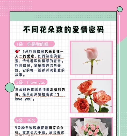 玫瑰花的寓意和话语是什么？如何正确表达爱意？