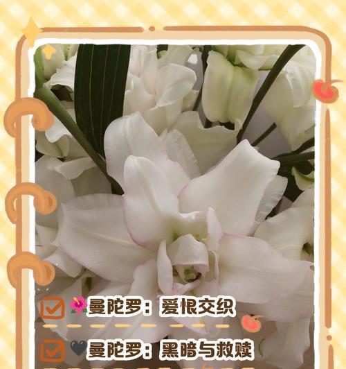 枫叶的花语和代表意义是什么？