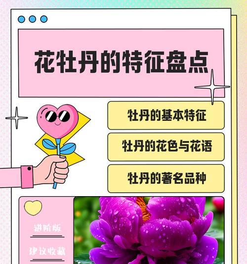 牡丹花的含义是什么？牡丹为何被誉为花中之王？