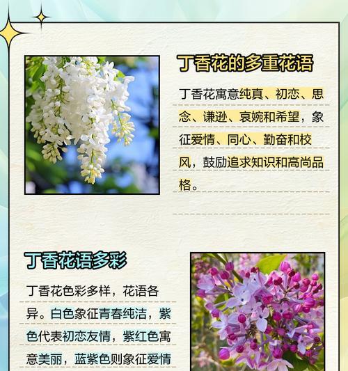 花的全部含义是什么？花语在不同文化中的意义？
