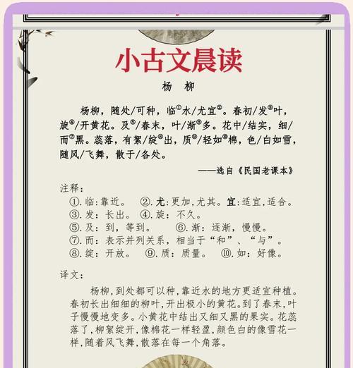 柳条花的象征意义？其含义具体是什么？
