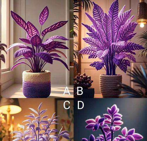 逆转属性的花象征着什么？它们代表了哪些特殊含义？