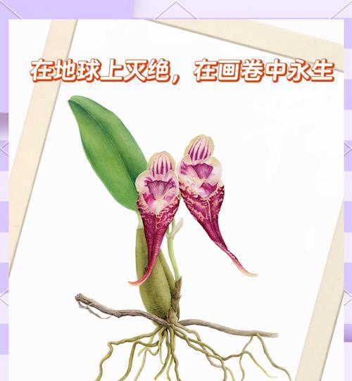 古代象征生命的花有哪些？它们在历史中扮演了什么角色？