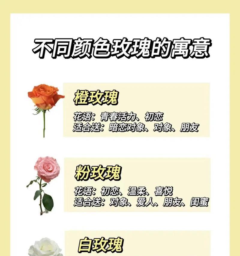 19朵香槟玫瑰代表什么含义？