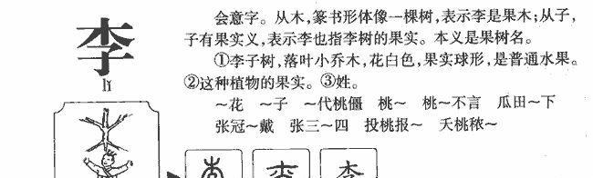李花诗句中的寓意是什么？如何理解其深层含义？