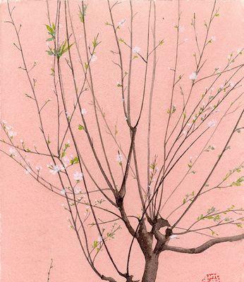 李花诗句中的寓意是什么？如何理解其深层含义？