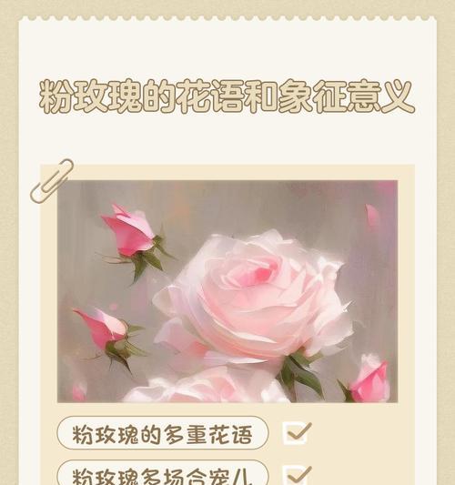 粉玫瑰的花语有哪些含义？