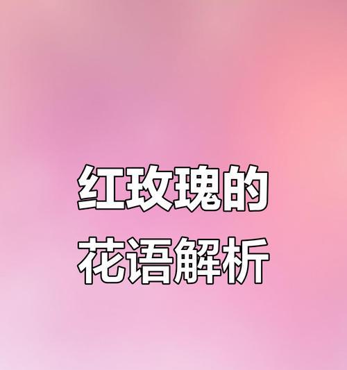 粉玫瑰的花语有哪些含义？