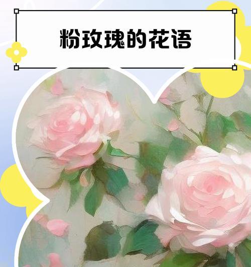 粉玫瑰的花语有哪些含义？