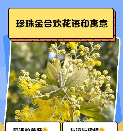 蓝五花吊坠寓意何在？大嘴花象征意义是什么？