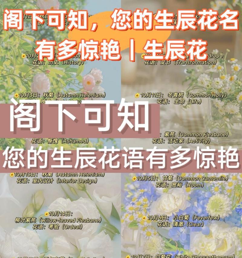 蓝五花吊坠寓意何在？大嘴花象征意义是什么？