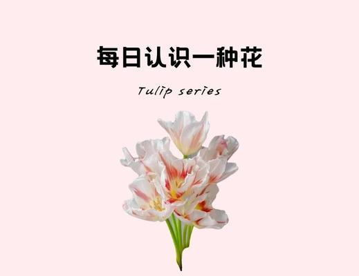 哪种花代表幸福和喜悦？幸福花语有哪些？