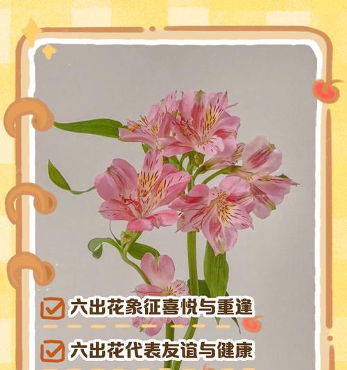 哪种花代表幸福和喜悦？幸福花语有哪些？