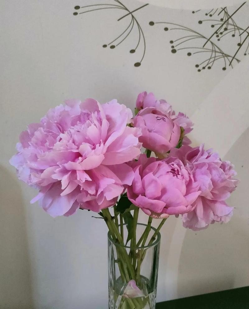 塑料花的象征意义？为何被认为是好的？