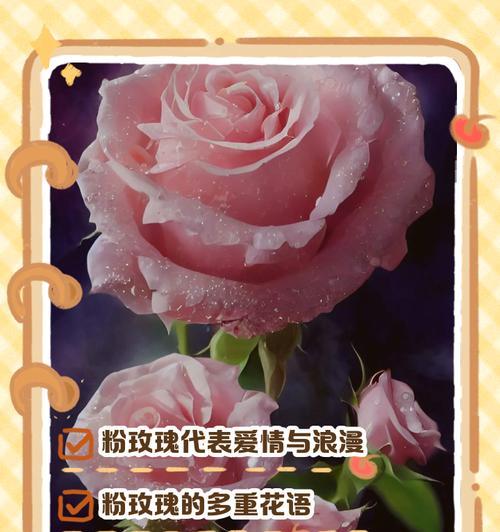 红色玫瑰的花语和象征意义是什么？