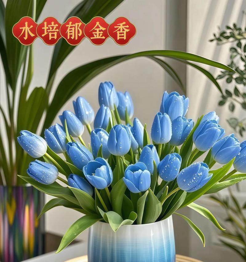 既浪漫又有寓意的花卉及其代表意义是什么？