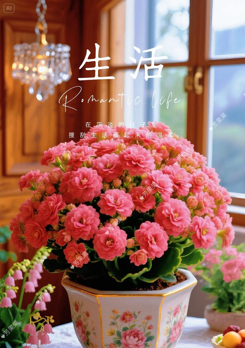 藏花的寓意象征是什么？它代表了什么？
