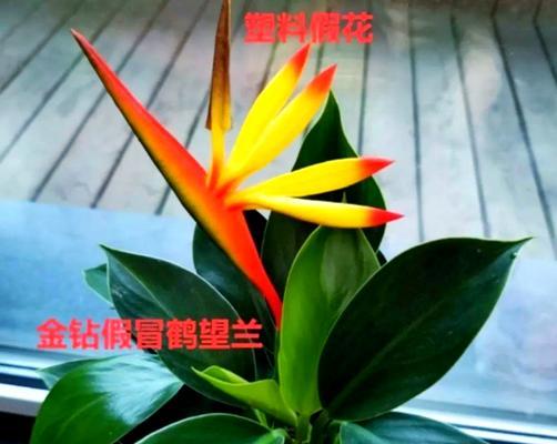 假花选择指南：哪些寓意吉祥？