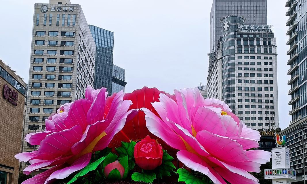 成都的代表花及其含义是什么？