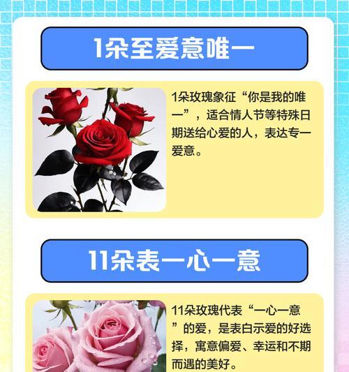 十一朵玫瑰的深刻寓意（探索十一朵玫瑰的含义与象征）