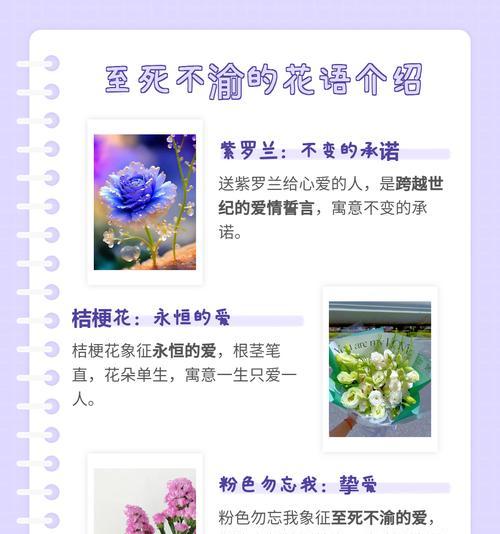 爱情寓意的花有哪些别名？这些别名背后的故事是什么？