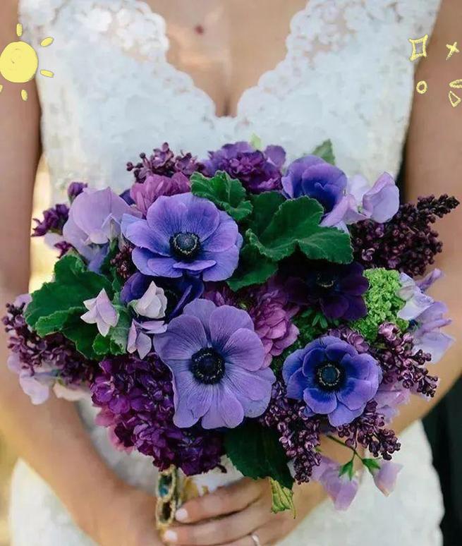 红白色手捧花代表什么？红白色手捧花的寓意是什么？