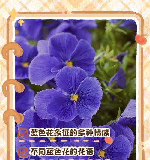 床单家用浪漫花语是什么？象征爱情的花的数量是多少？
