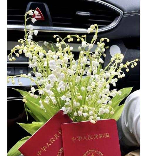 手捧铃兰假花的寓意是什么？为何选择假花？