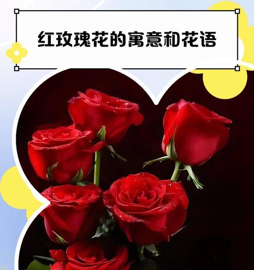 哪种花寓意最美爱情？它的花语是什么？