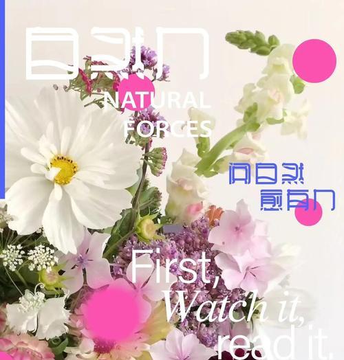 哪种花寓意最美爱情？它的花语是什么？