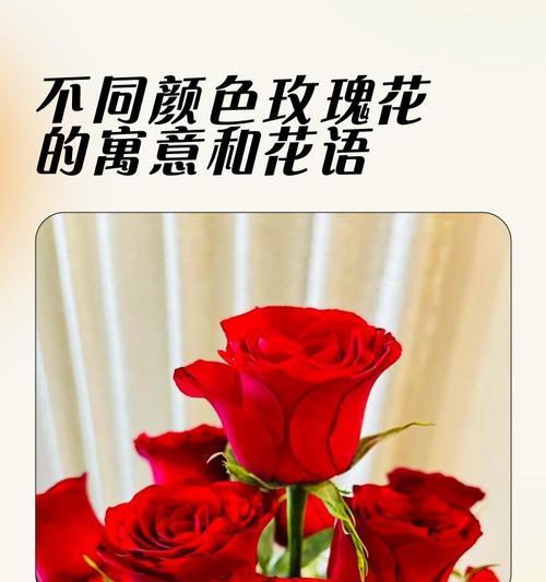 哪种花寓意爱情幸福？它们的花语是什么？