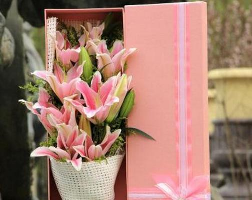 哪种花象征忠诚的爱情？钟真不谕的爱情花是什么？