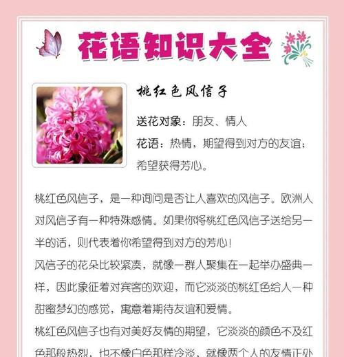 粉色花与红色花各自代表什么？它们的花语有何不同？