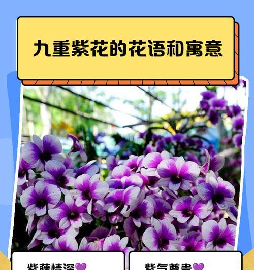 爱情的花语有哪些？花的象征意义是什么？