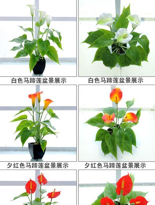 假花如何寓意身体健康？它们在装饰中的作用是什么？