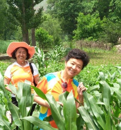 花塔村背后的故事是什么？