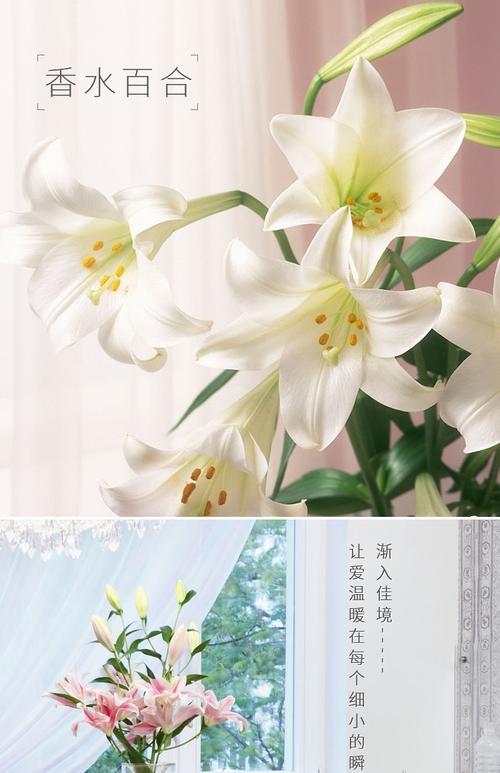 沁源县结婚习俗中花的寓意是什么？