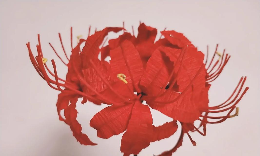沁源县结婚习俗中花的寓意是什么？
