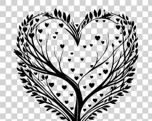 简笔画中的爱情象征花有哪些？爱情花的简笔画代表什么？
