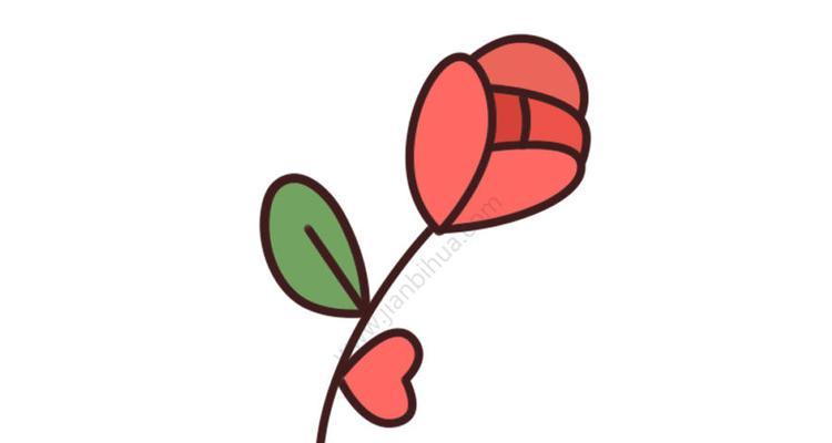 简笔画中的爱情象征花有哪些？爱情花的简笔画代表什么？