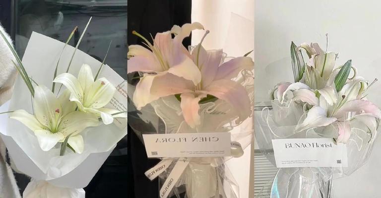 如何用俏皮花语表达祝福？